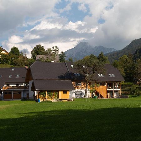 Apartments Tourist Farm Storman With Ev Ch-Station Tržič Esterno foto