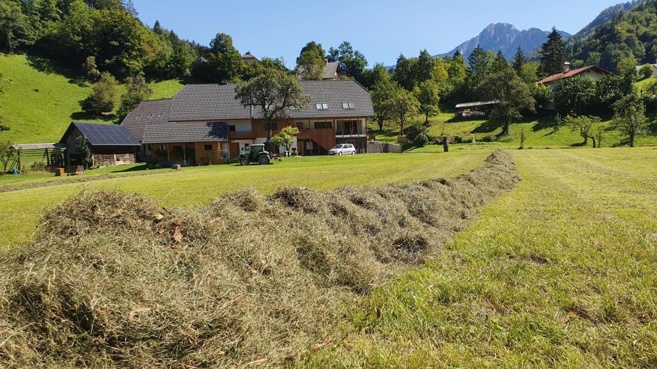 Apartments Tourist Farm Storman With Ev Ch-Station Tržič Esterno foto