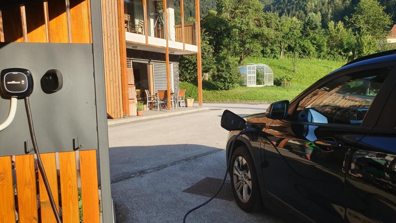 Apartments Tourist Farm Storman With Ev Ch-Station Tržič Esterno foto